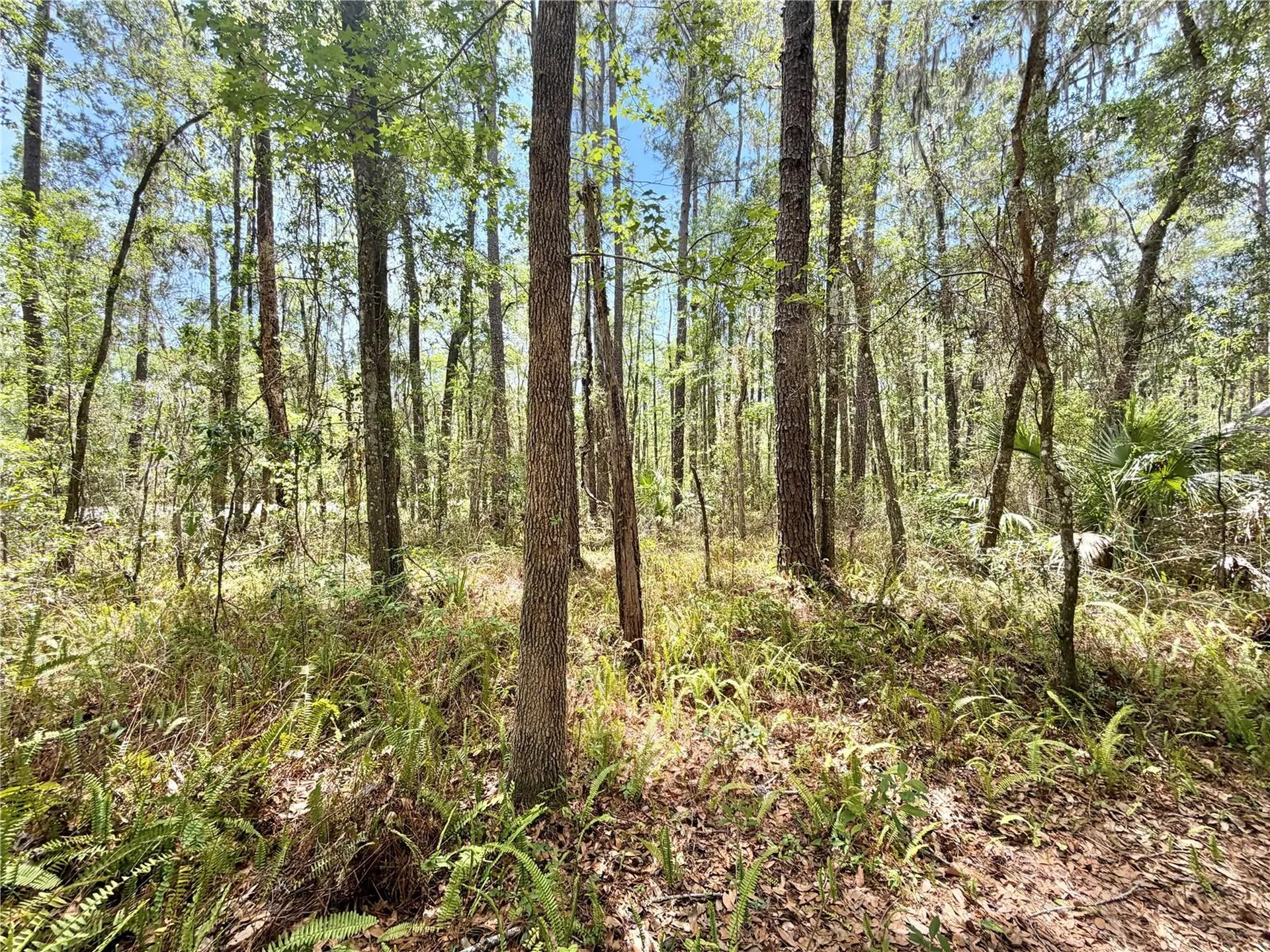 5229 SW 86th Terrace Gainesville FL 32608