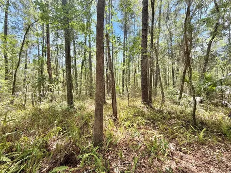 5229 SW 86th Terrace Gainesville FL 32608