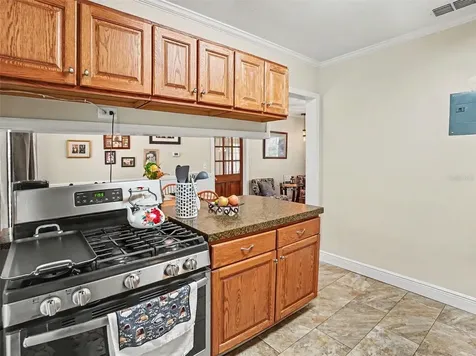 315 W 11th Avenue Mount Dora FL 32757
