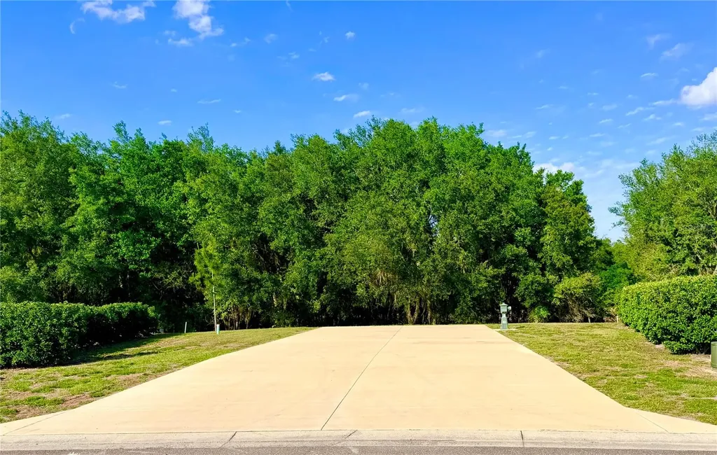 4933 SE 92nd Boulevard Webster FL 33597