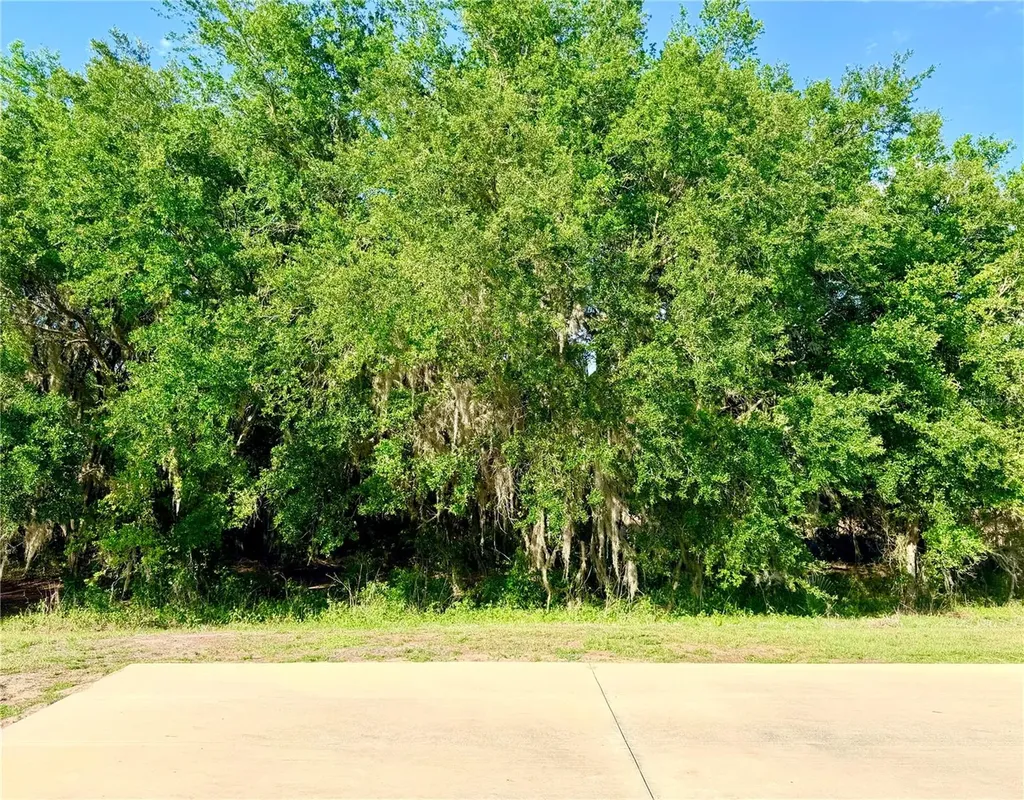 4933 SE 92nd Boulevard Webster FL 33597