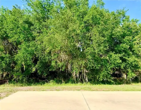 4933 SE 92nd Boulevard Webster FL 33597