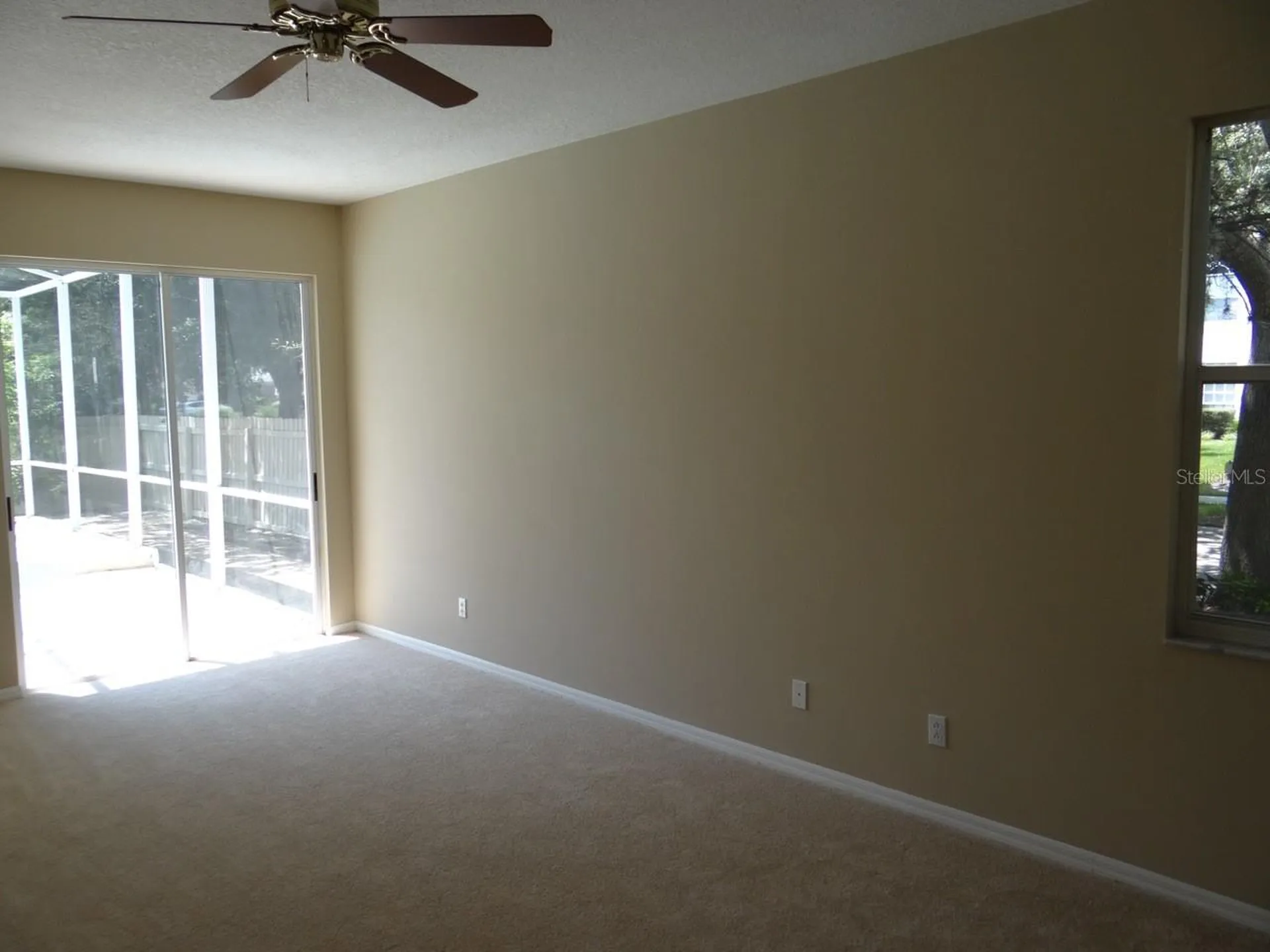 17712 Hampshire Oak Drive Tampa FL 33647
