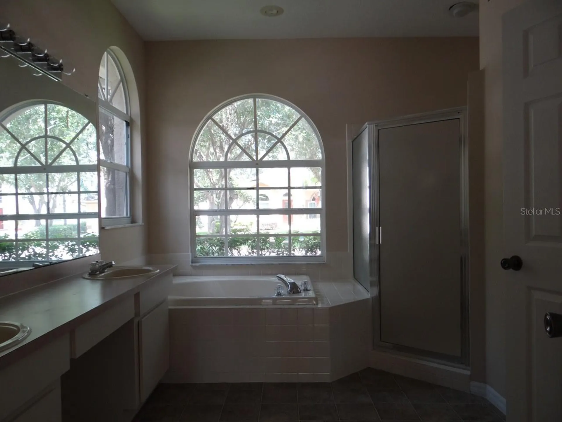 17712 Hampshire Oak Drive Tampa FL 33647