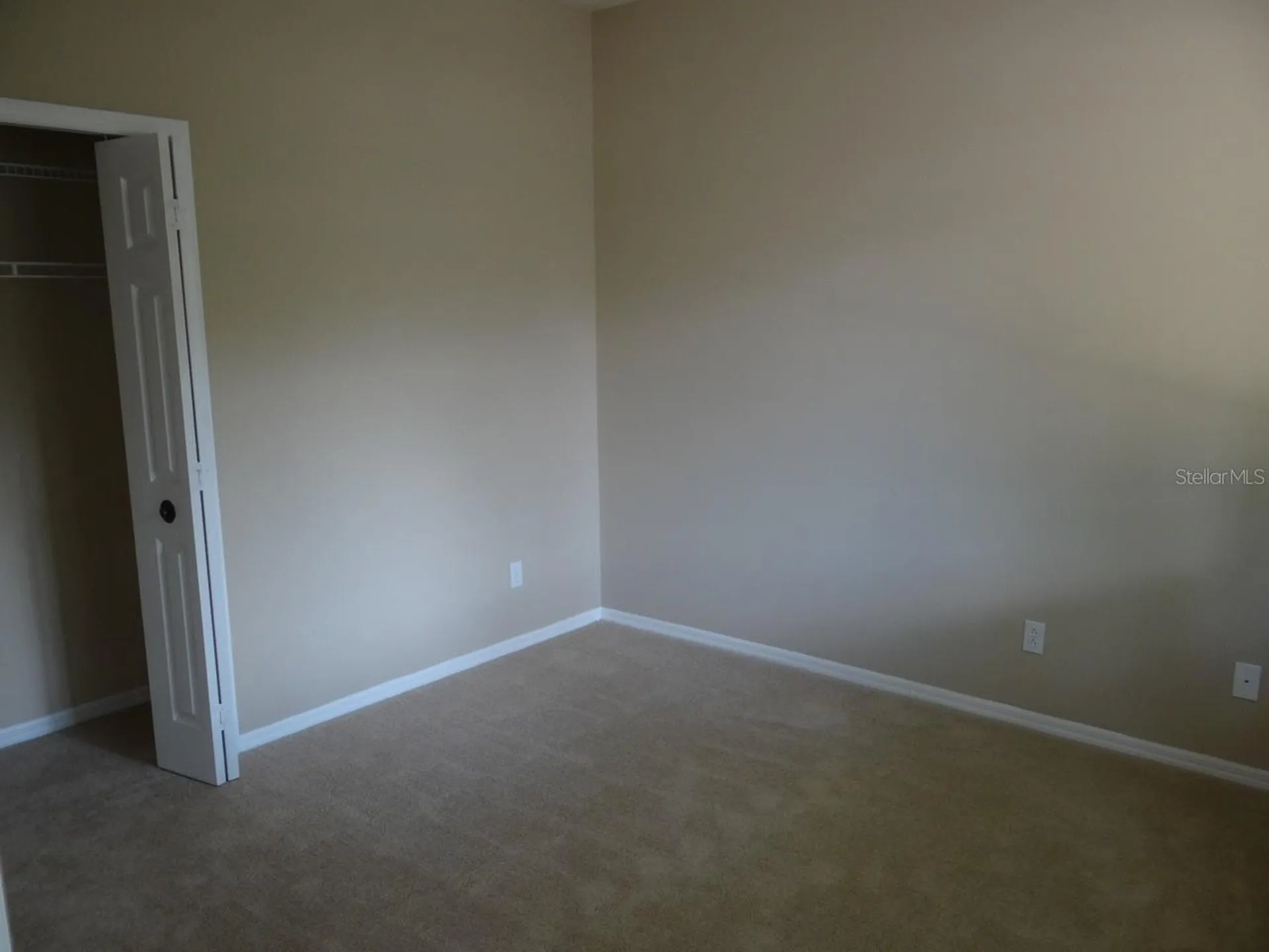 17712 Hampshire Oak Drive Tampa FL 33647