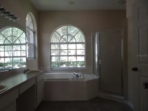 17712 Hampshire Oak Drive Tampa FL 33647