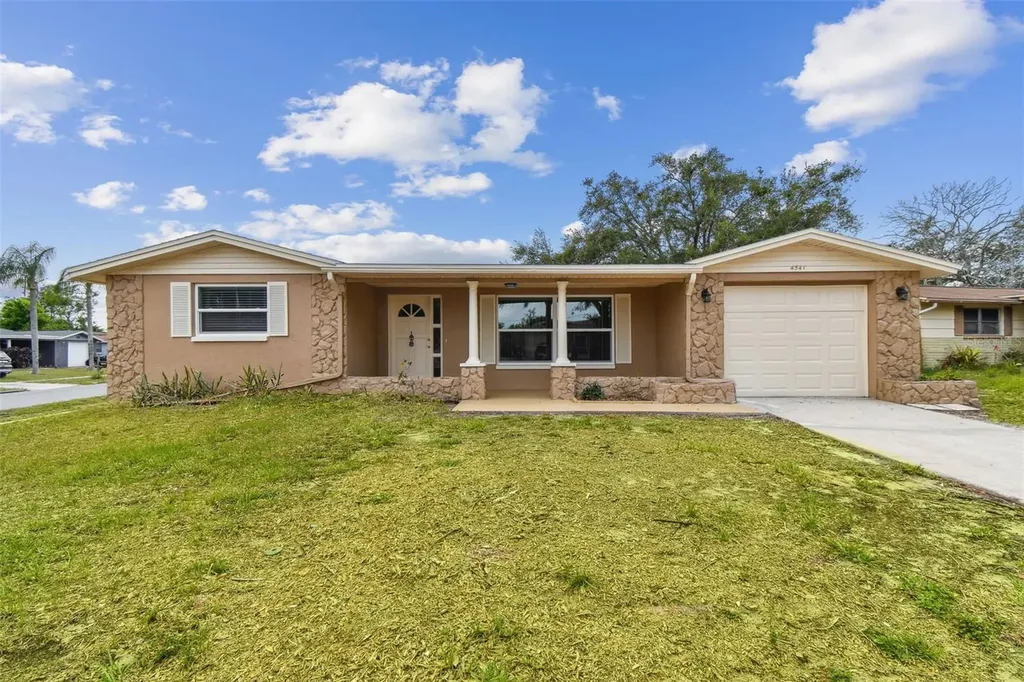 4541 Daphne Street New Port Richey FL 34652