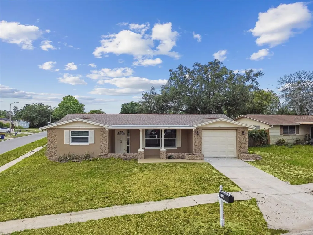 4541 Daphne Street New Port Richey FL 34652