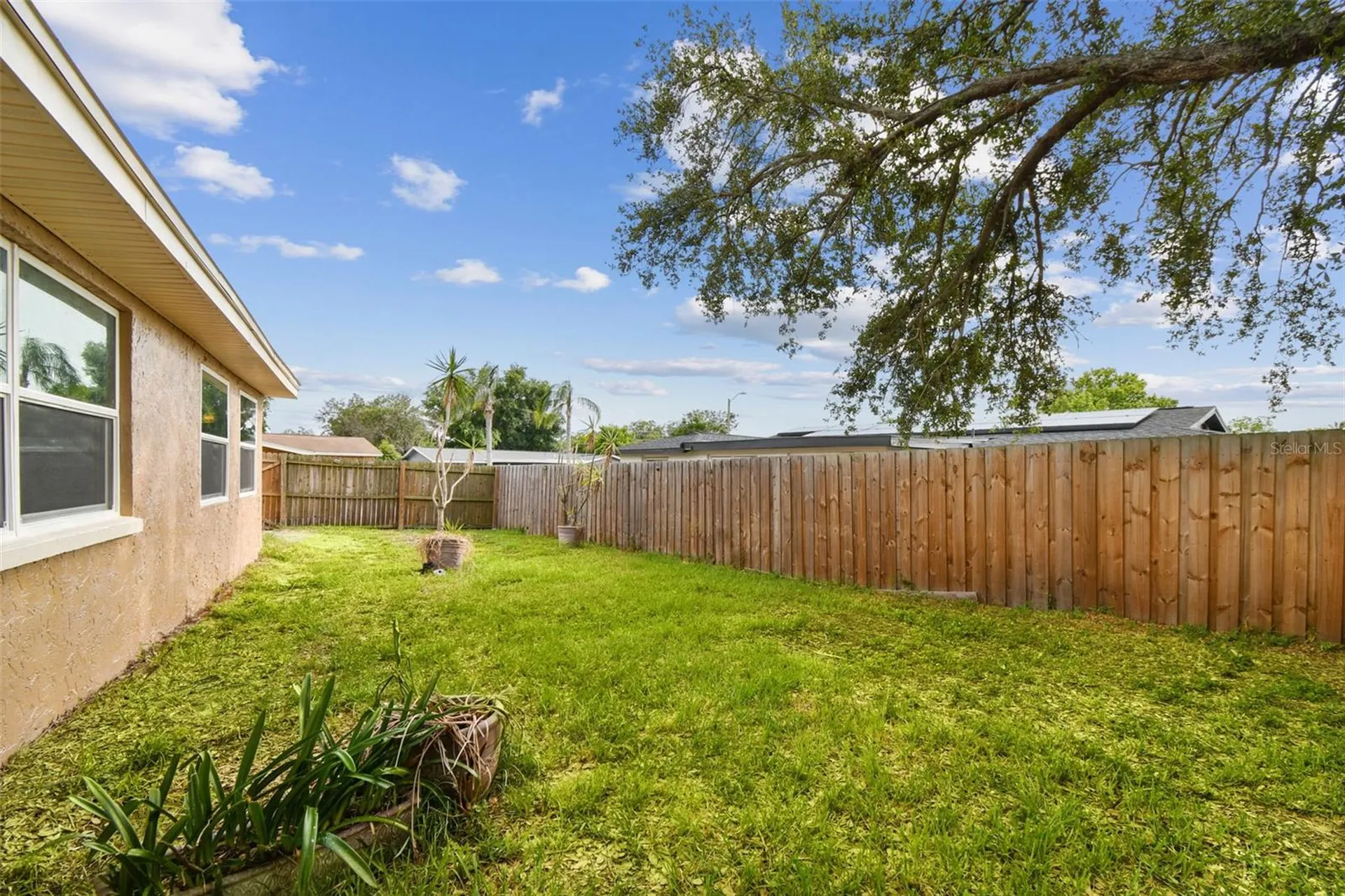4541 Daphne Street New Port Richey FL 34652