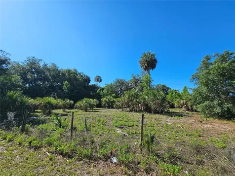 123 W 2nd Avenue Pierson FL 32180