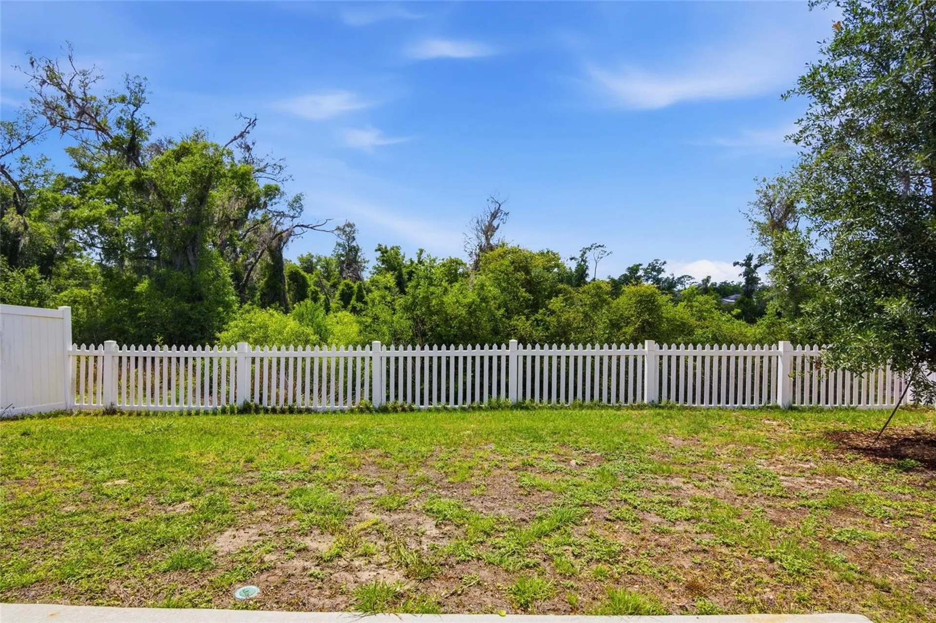 2004 Buckhanon Trail Deland FL 32720
