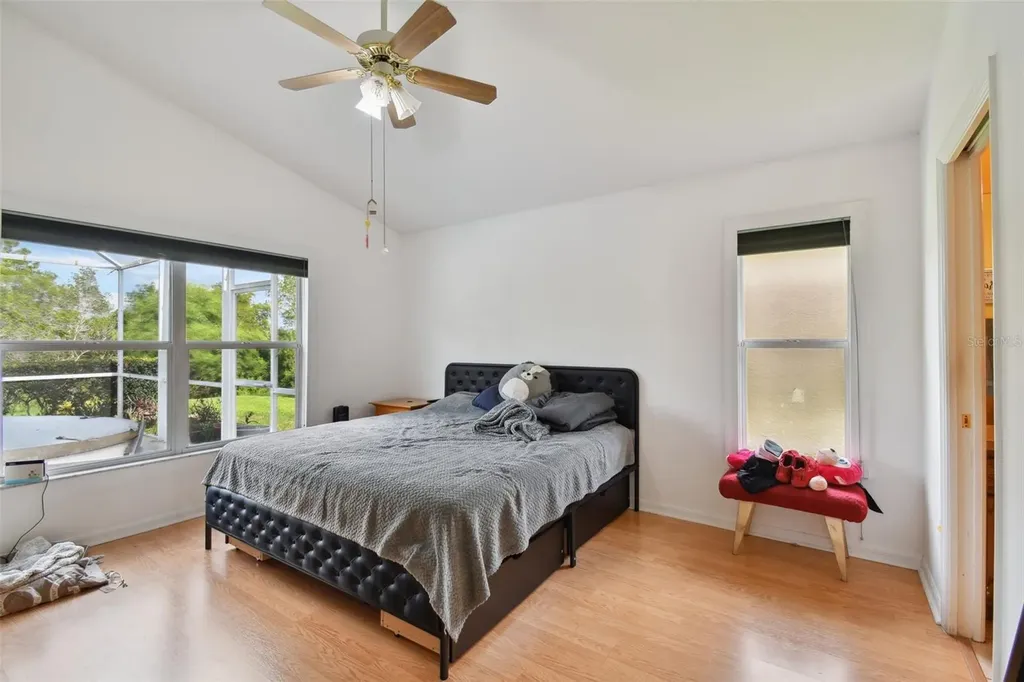 3216 Sago Point Court Land O Lakes FL 34639