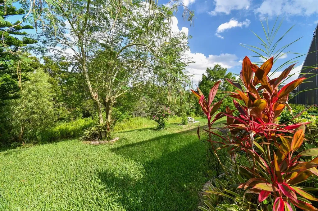 3216 Sago Point Court Land O Lakes FL 34639