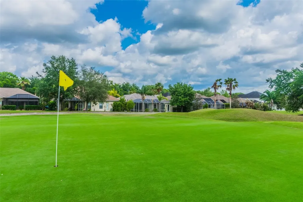 3216 Sago Point Court Land O Lakes FL 34639