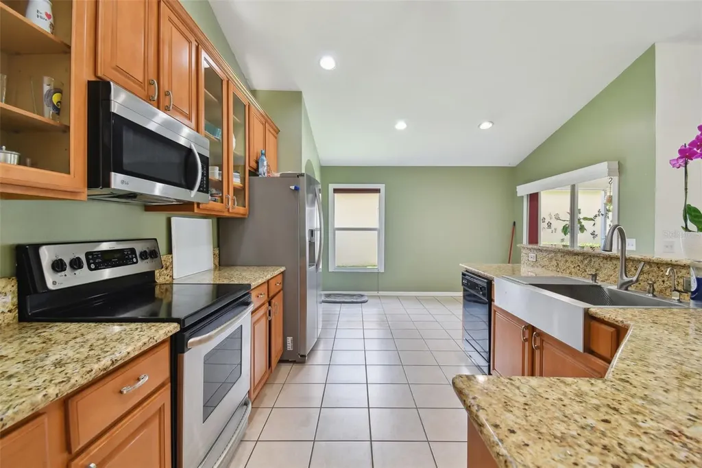 3216 Sago Point Court Land O Lakes FL 34639