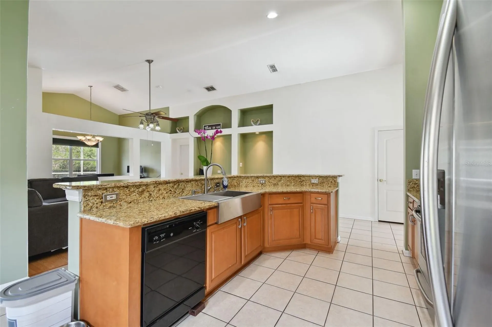 3216 Sago Point Court Land O Lakes FL 34639