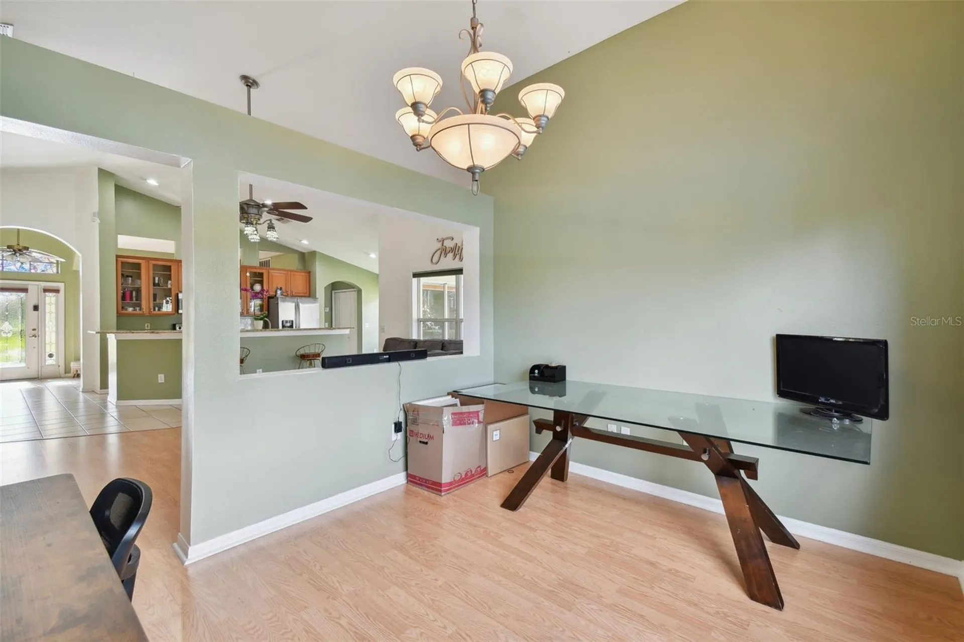 3216 Sago Point Court Land O Lakes FL 34639