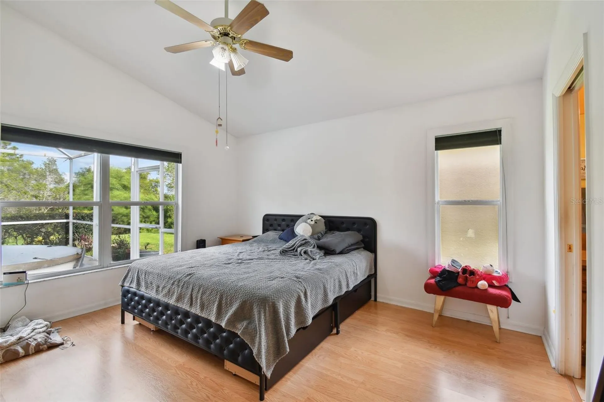 3216 Sago Point Court Land O Lakes FL 34639