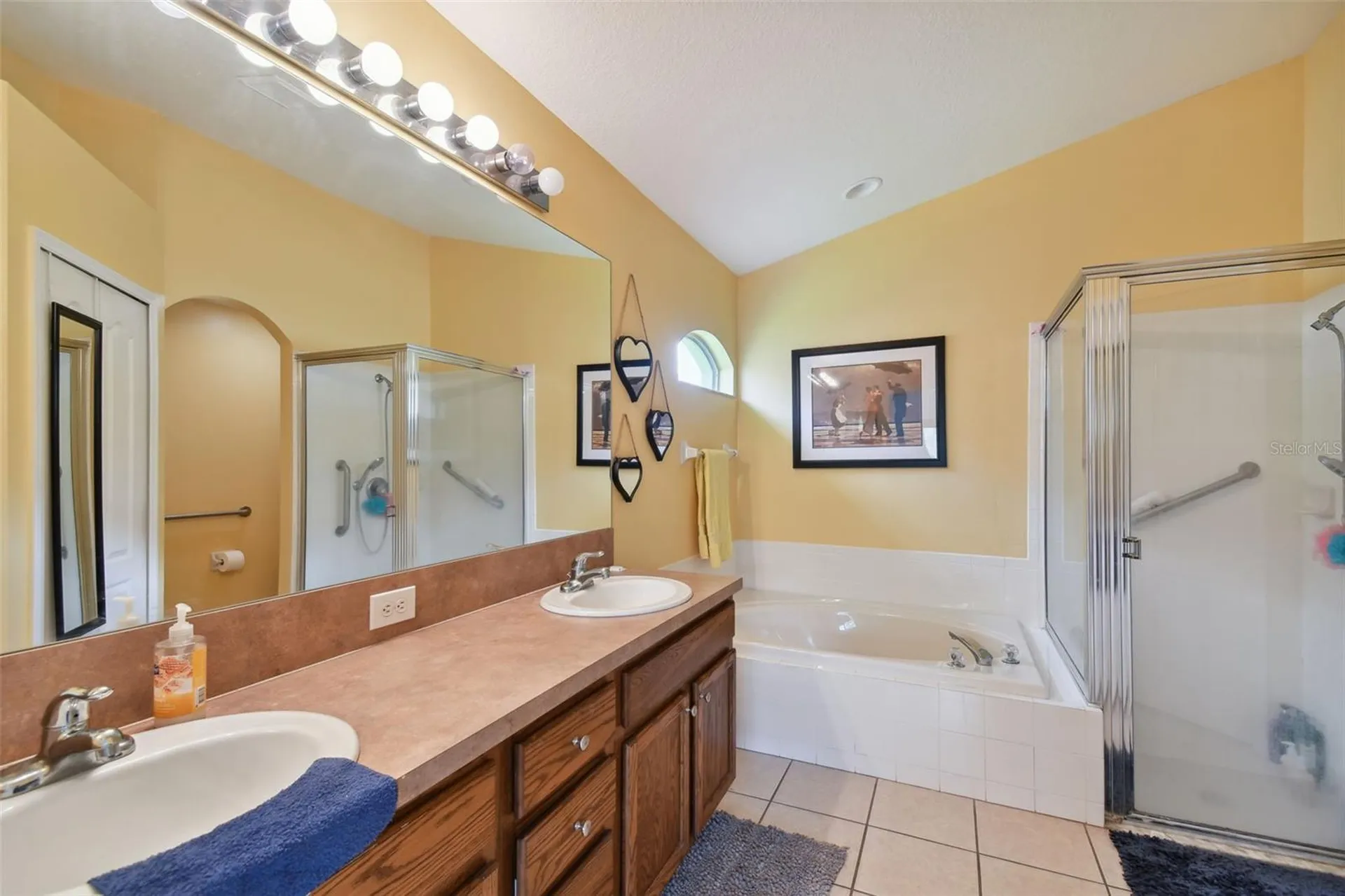 3216 Sago Point Court Land O Lakes FL 34639