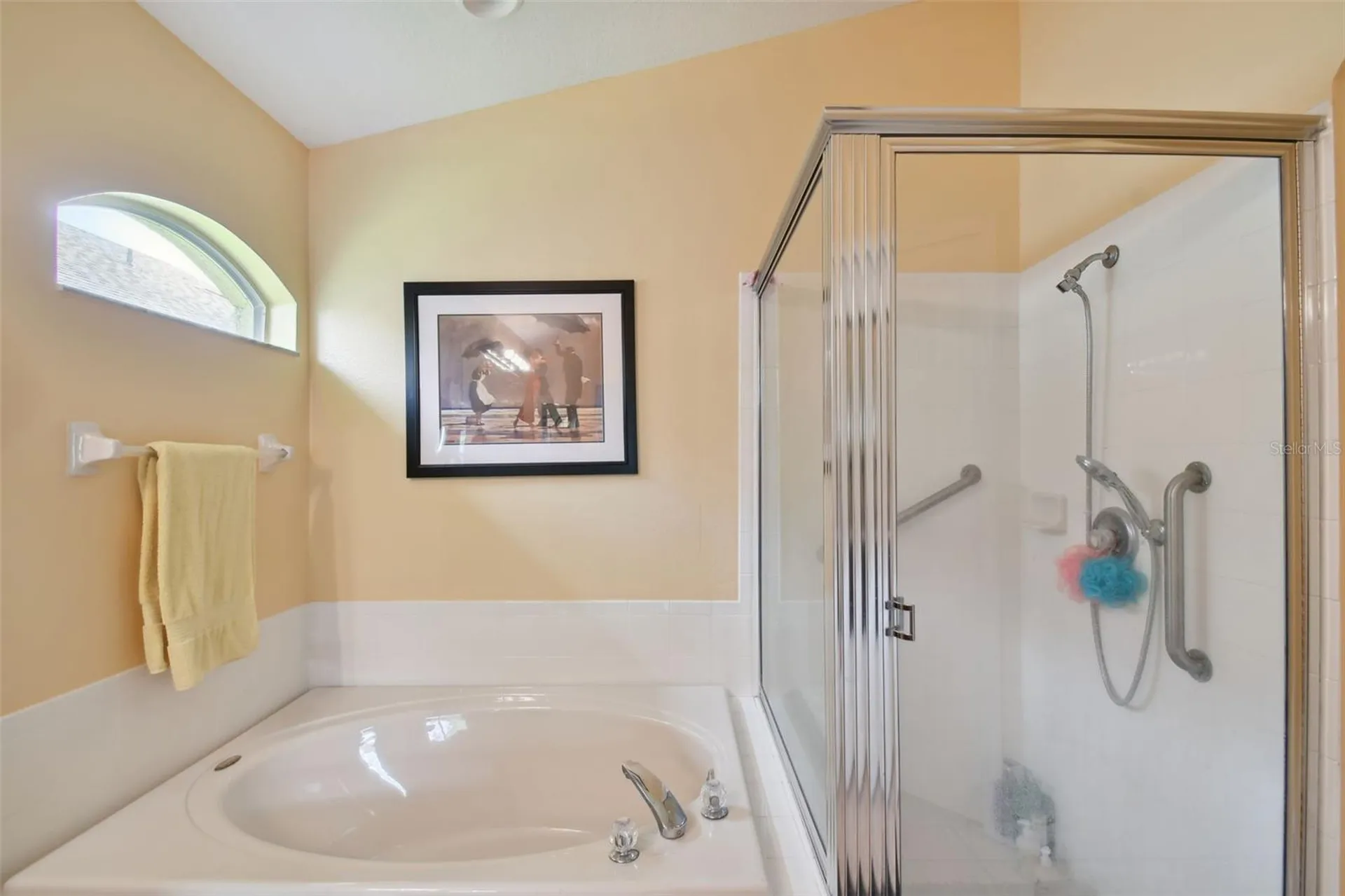 3216 Sago Point Court Land O Lakes FL 34639