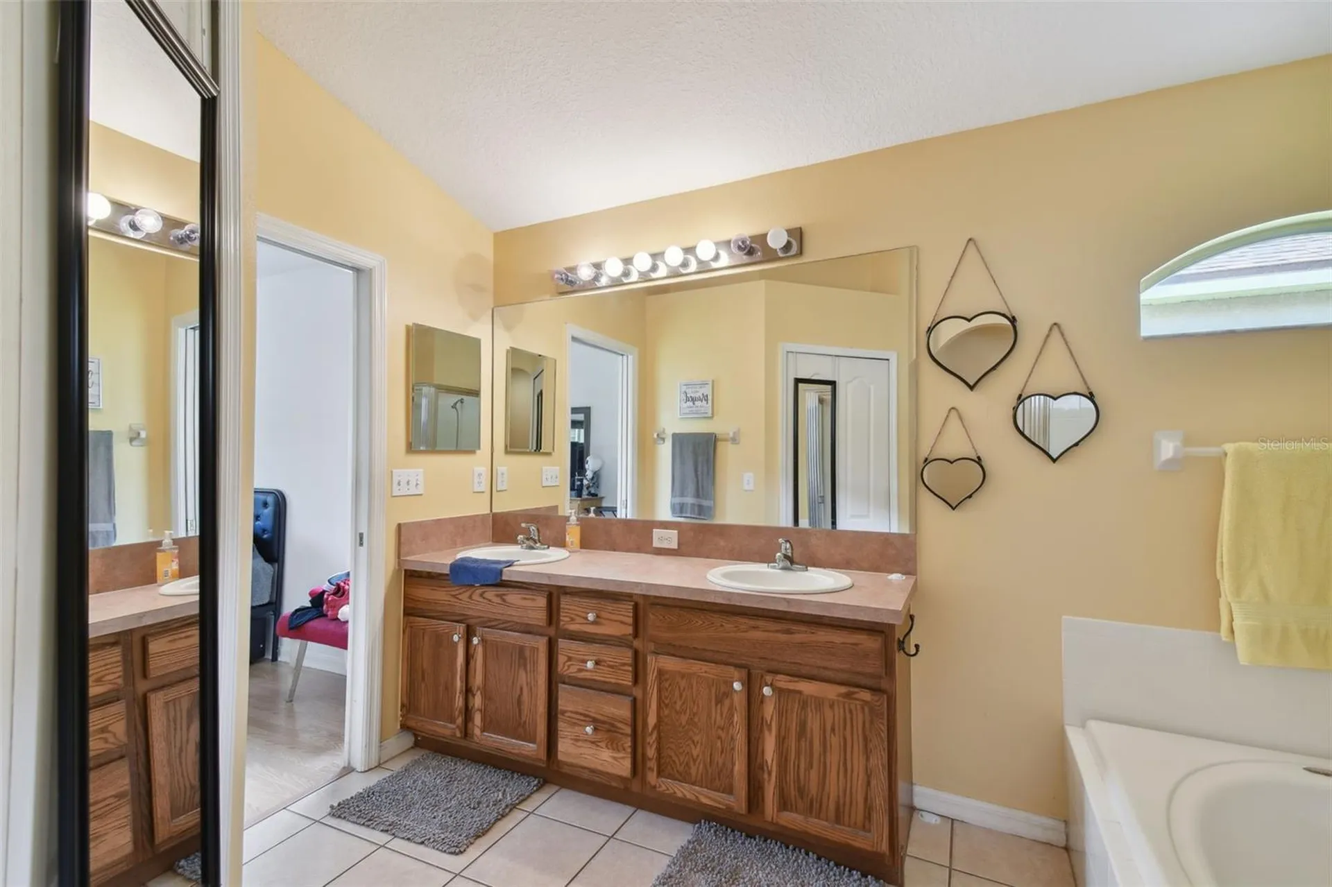3216 Sago Point Court Land O Lakes FL 34639