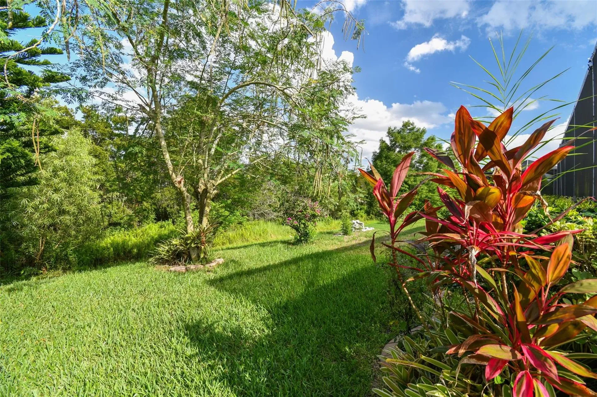 3216 Sago Point Court Land O Lakes FL 34639