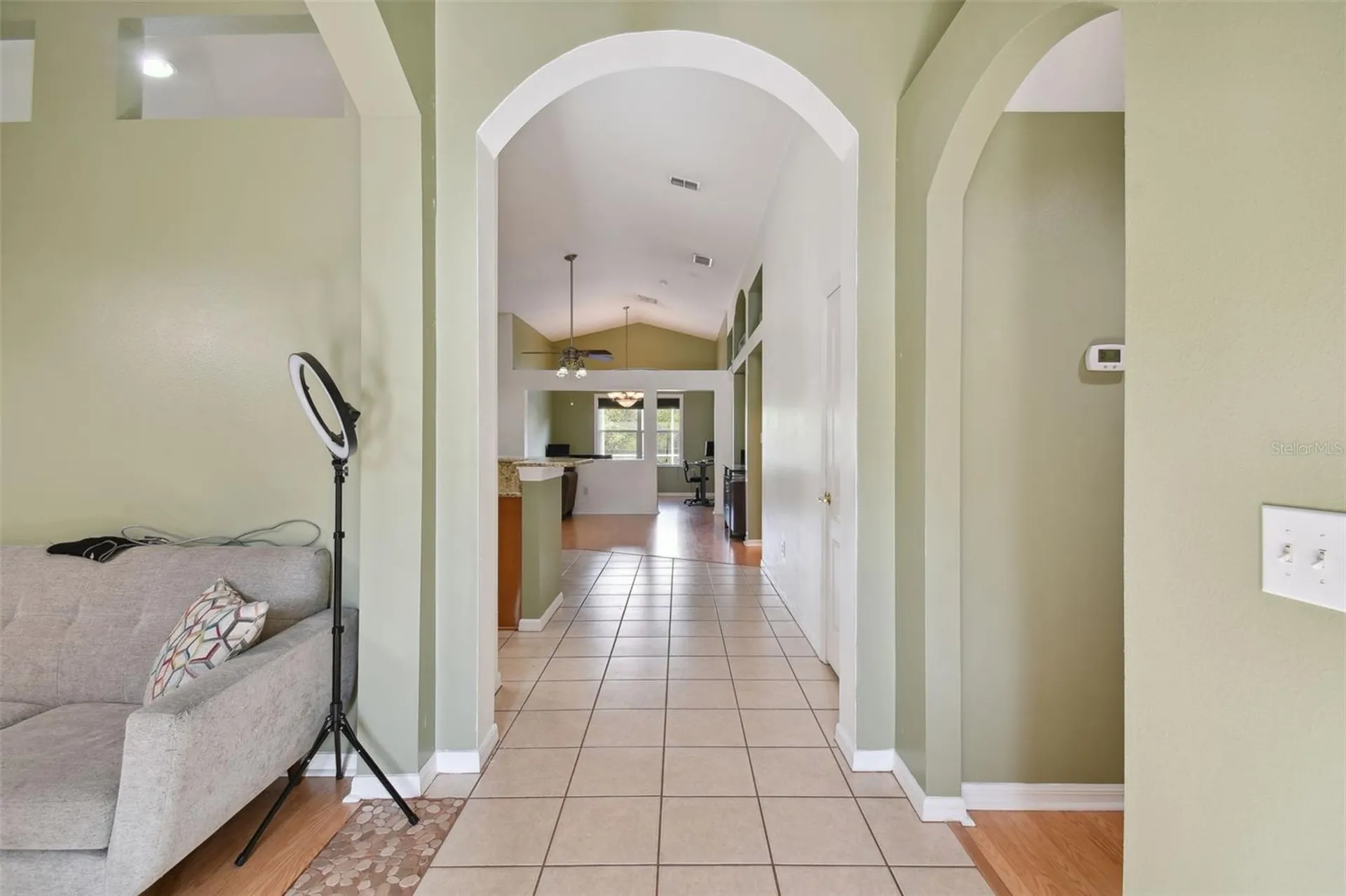 3216 Sago Point Court Land O Lakes FL 34639
