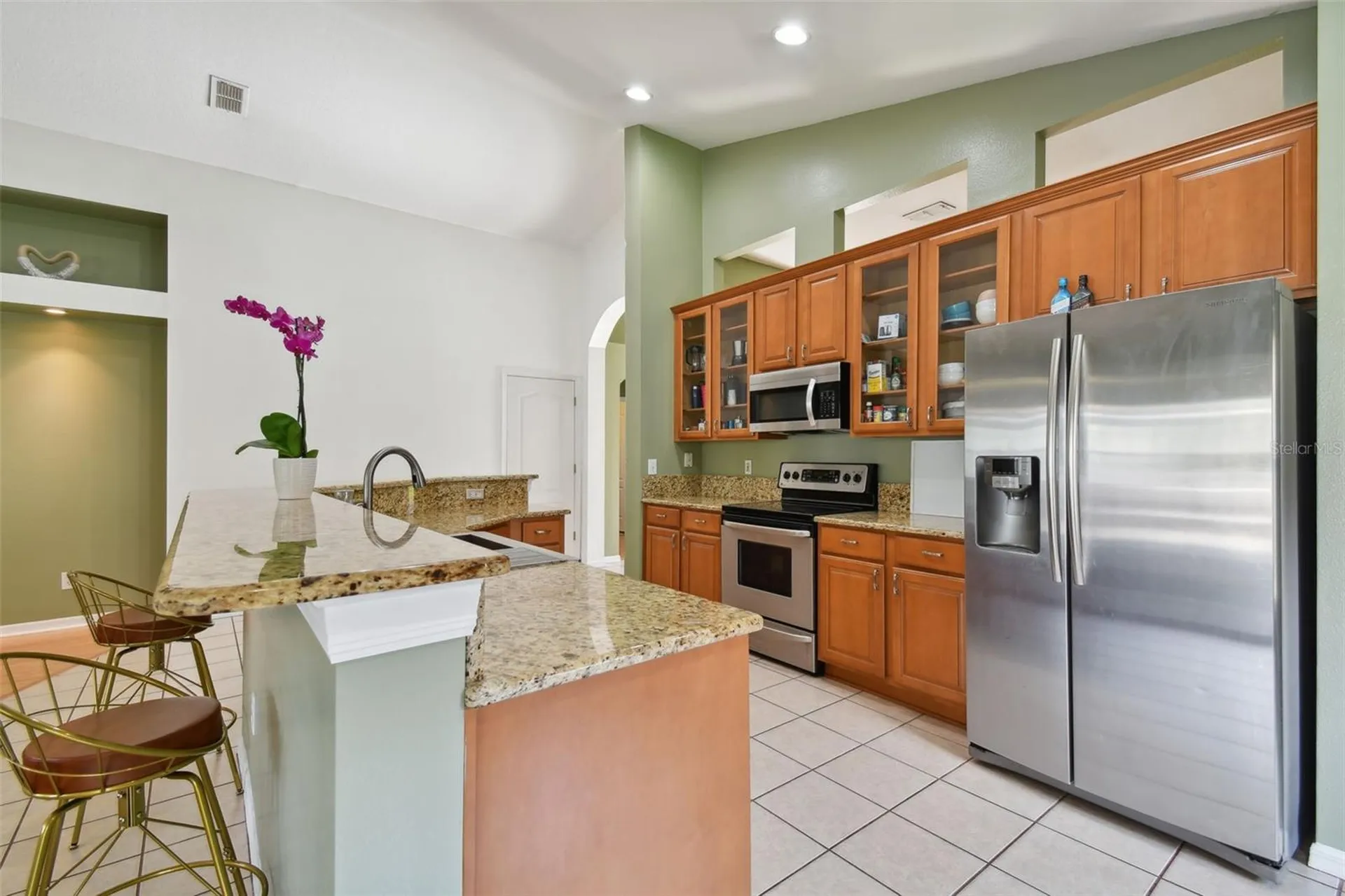 3216 Sago Point Court Land O Lakes FL 34639