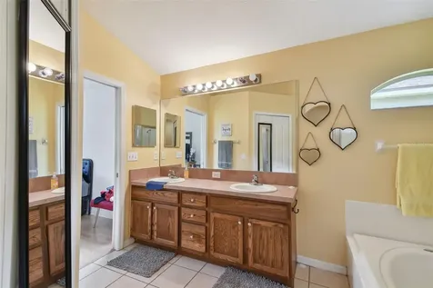 3216 Sago Point Court Land O Lakes FL 34639