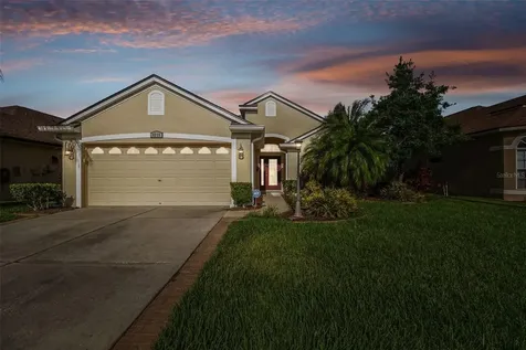 3216 Sago Point Court Land O Lakes FL 34639