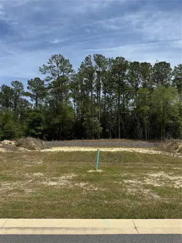 1047 SW 147th Terrace Newberry FL 32669