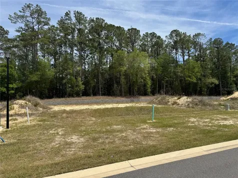 1047 SW 147th Terrace Newberry FL 32669