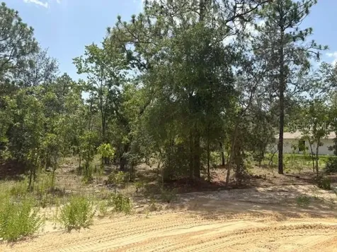 5535 SW 121st Terrace Ocala FL 34481