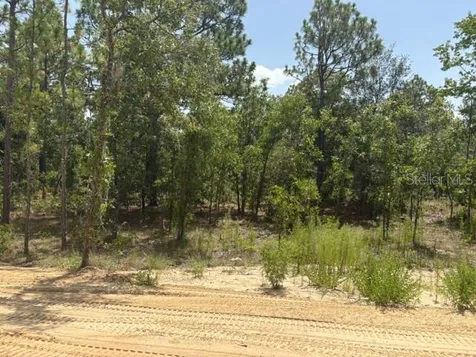 5535 SW 121st Terrace Ocala FL 34481