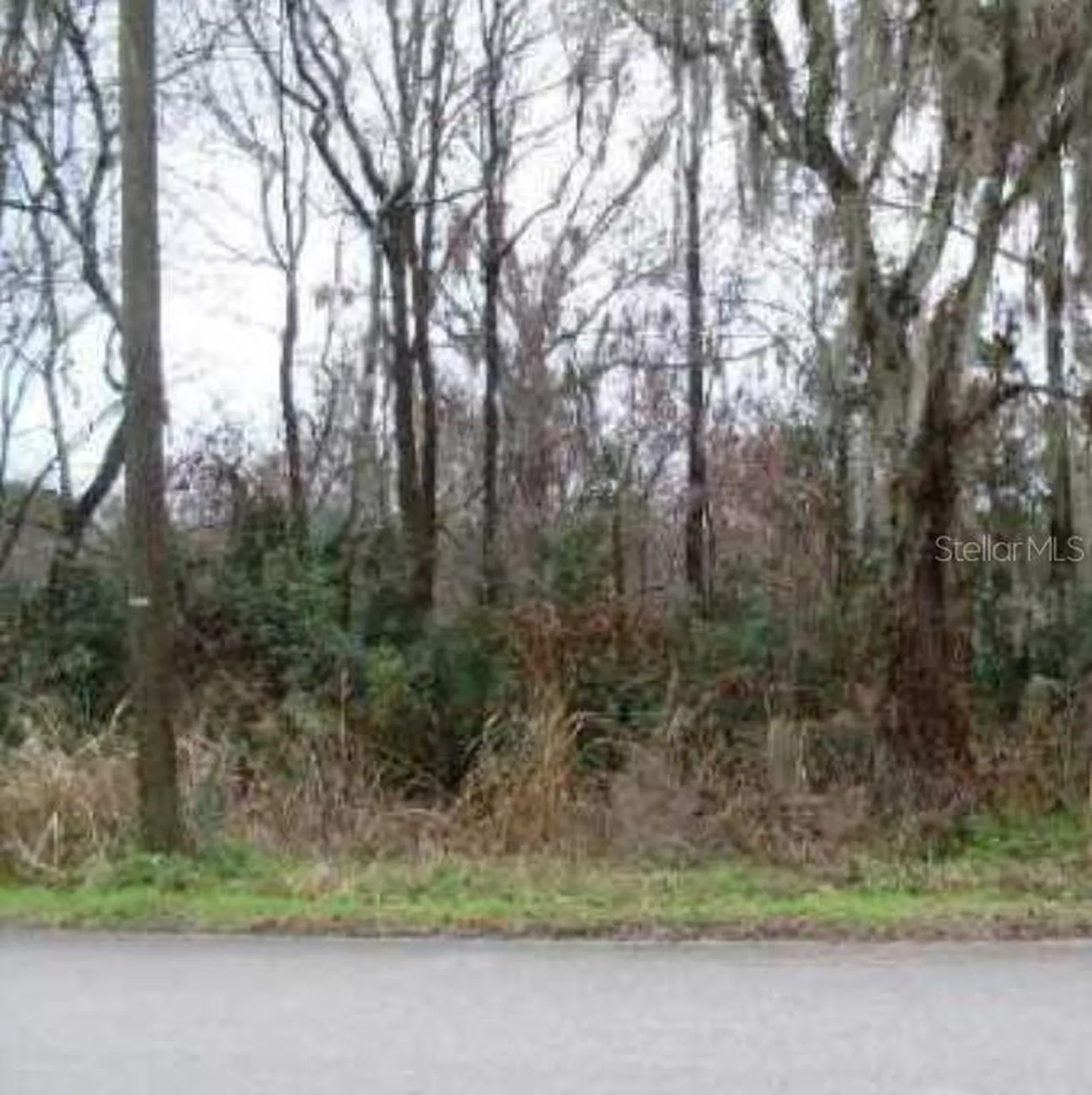 Franklin Street Oviedo FL 32765