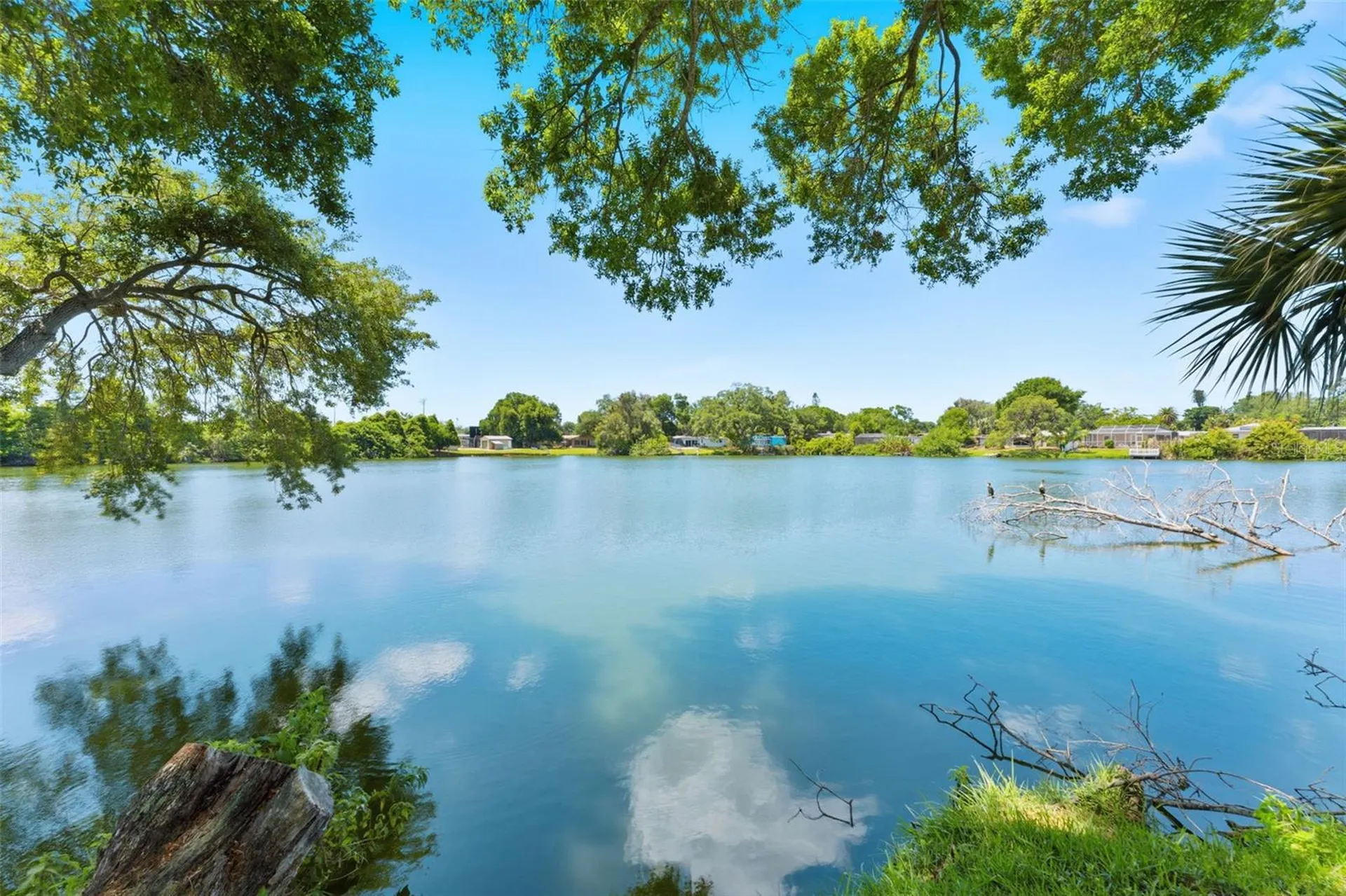 10220 Blossom Trail Seminole FL 33772