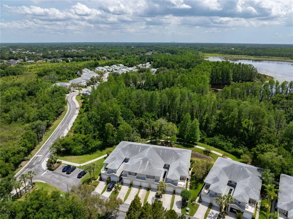 22128 Little Lagoon Court Lutz FL 33549