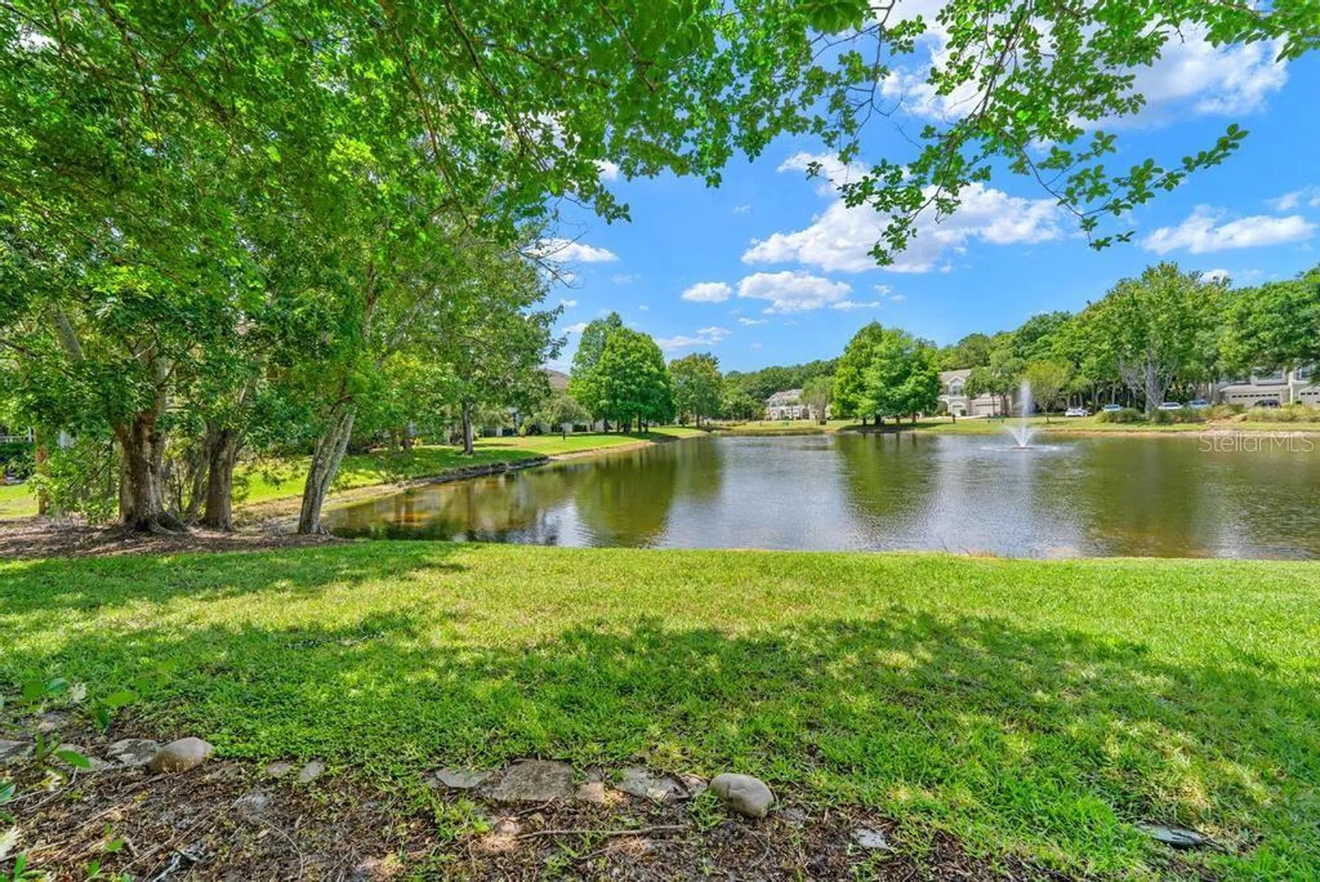 14072 Waterville Circle Tampa FL 33626