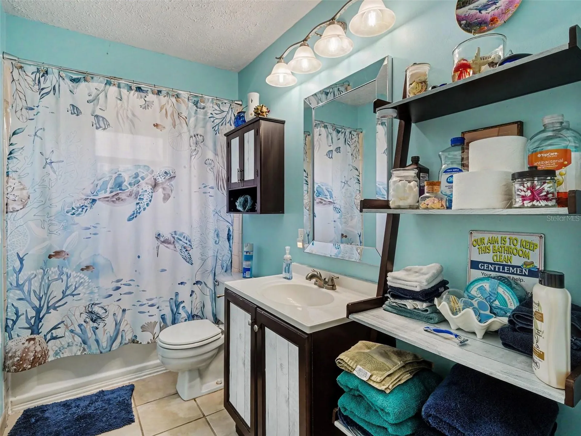 11207 Creekview Drive Riverview FL 33569