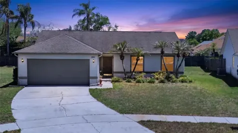 861 Blackgum Court Orlando FL 32825
