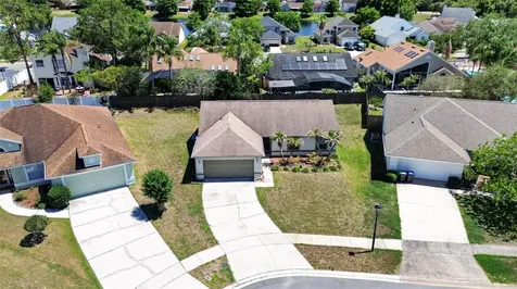 861 Blackgum Court Orlando FL 32825