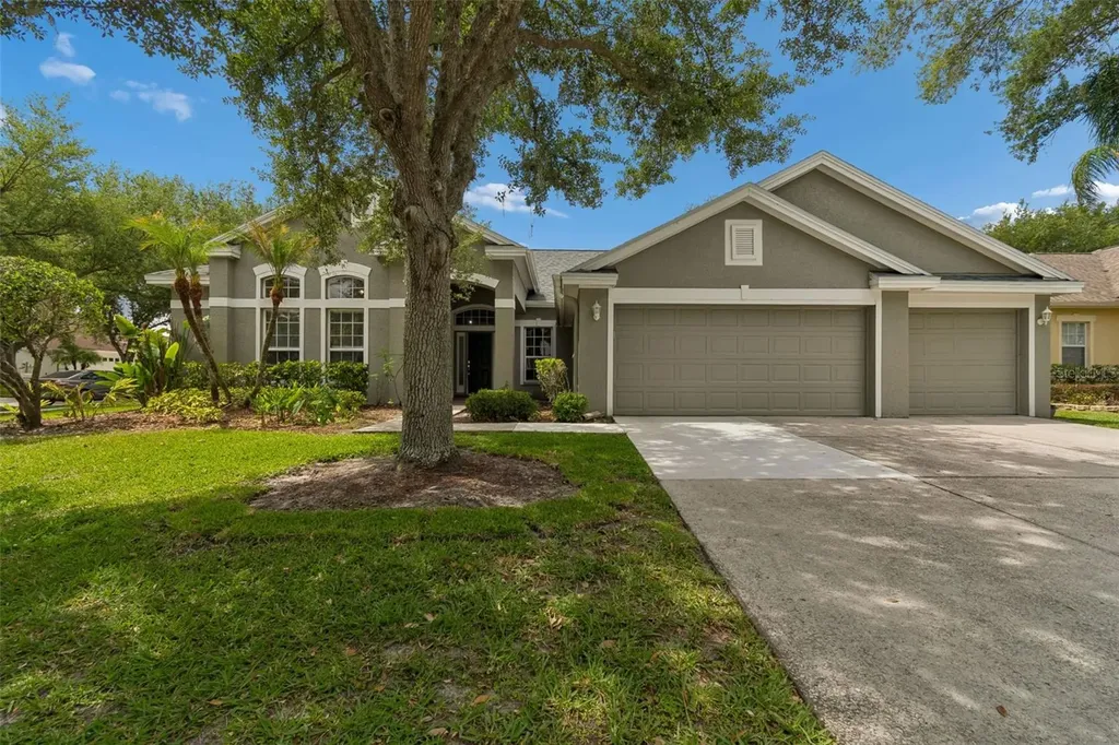 10243 Shadow Branch Drive Tampa FL 33647