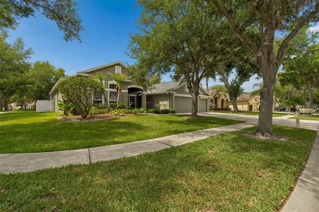 10243 Shadow Branch Drive Tampa FL 33647