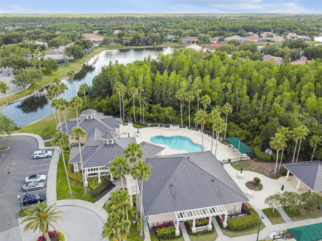 10243 Shadow Branch Drive Tampa FL 33647