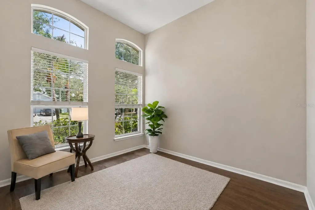 10243 Shadow Branch Drive Tampa FL 33647