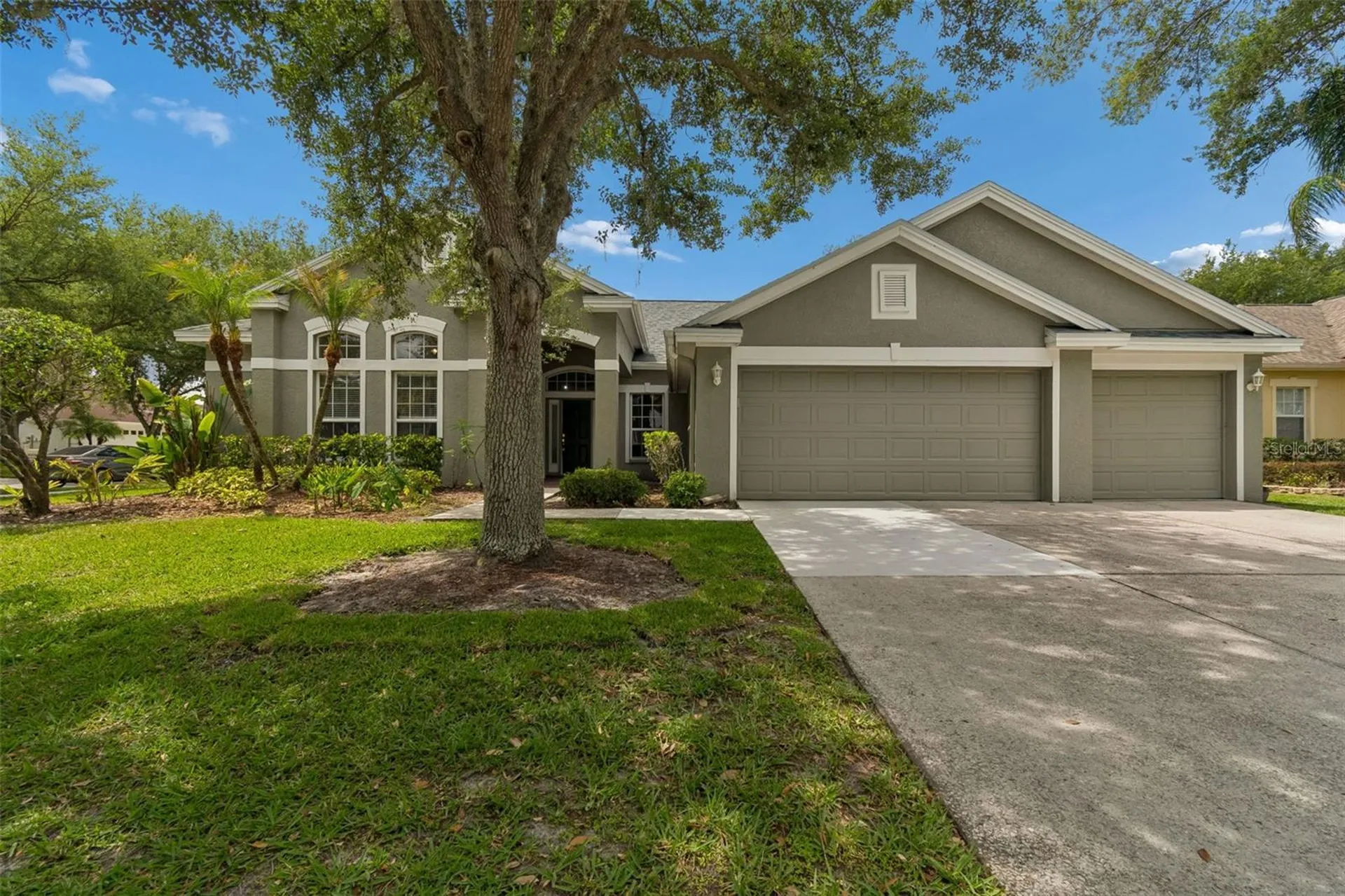 10243 Shadow Branch Drive Tampa FL 33647