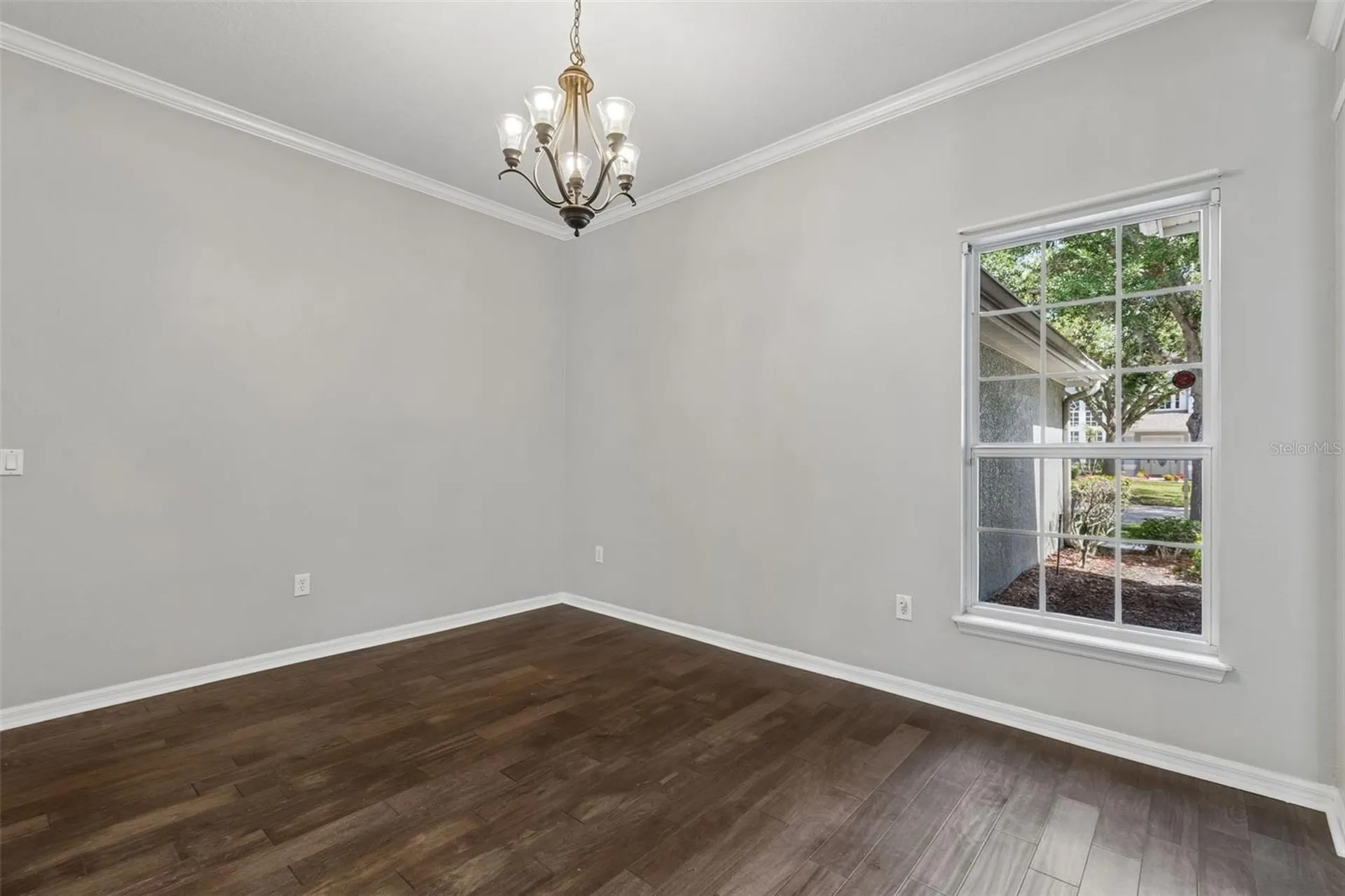 10243 Shadow Branch Drive Tampa FL 33647