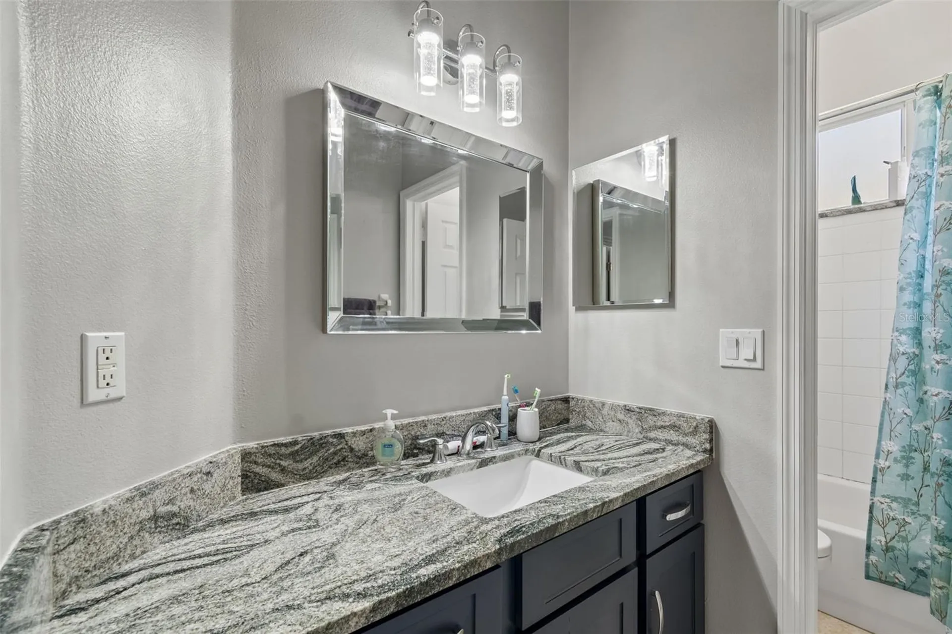 10243 Shadow Branch Drive Tampa FL 33647