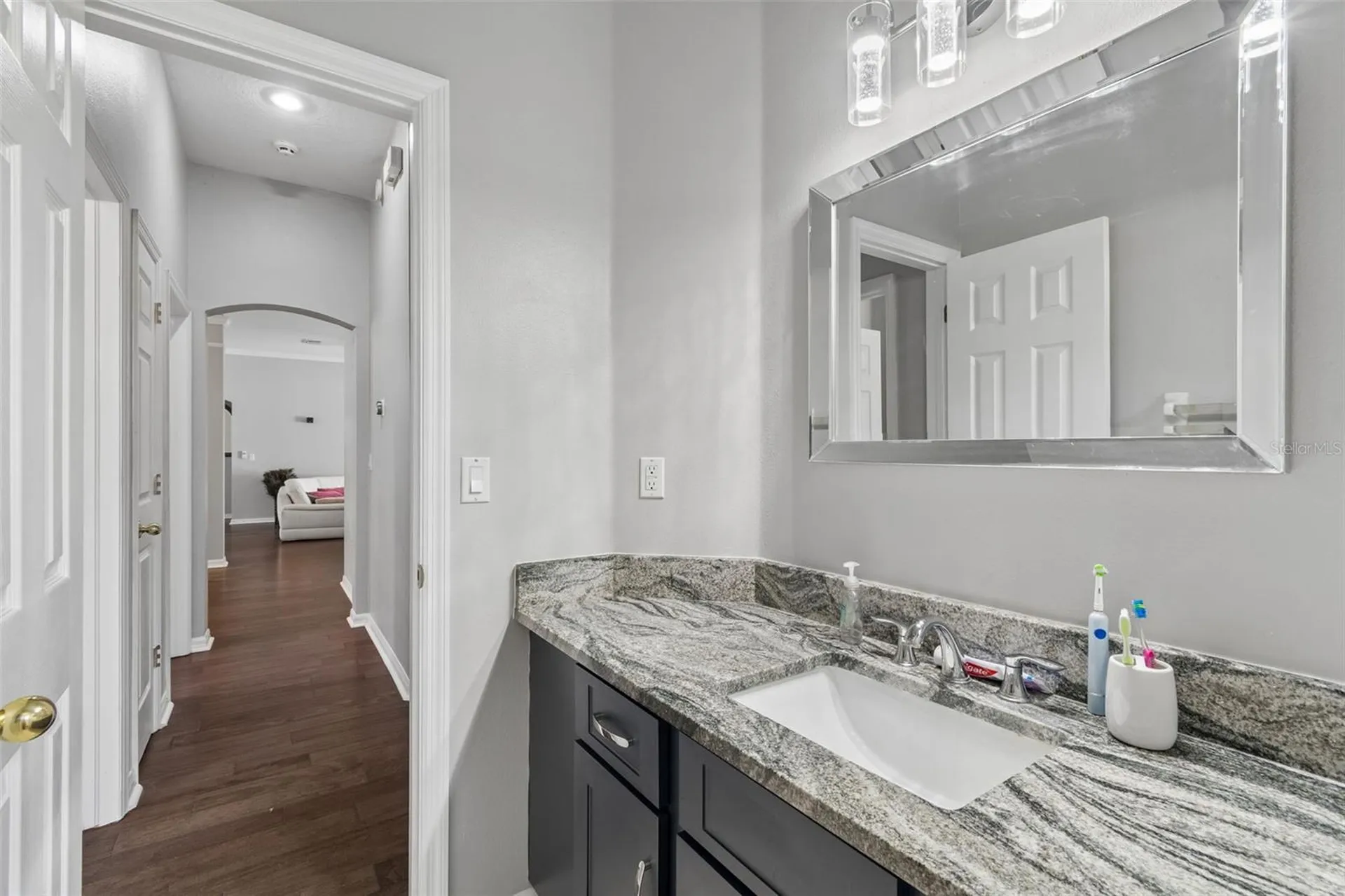 10243 Shadow Branch Drive Tampa FL 33647