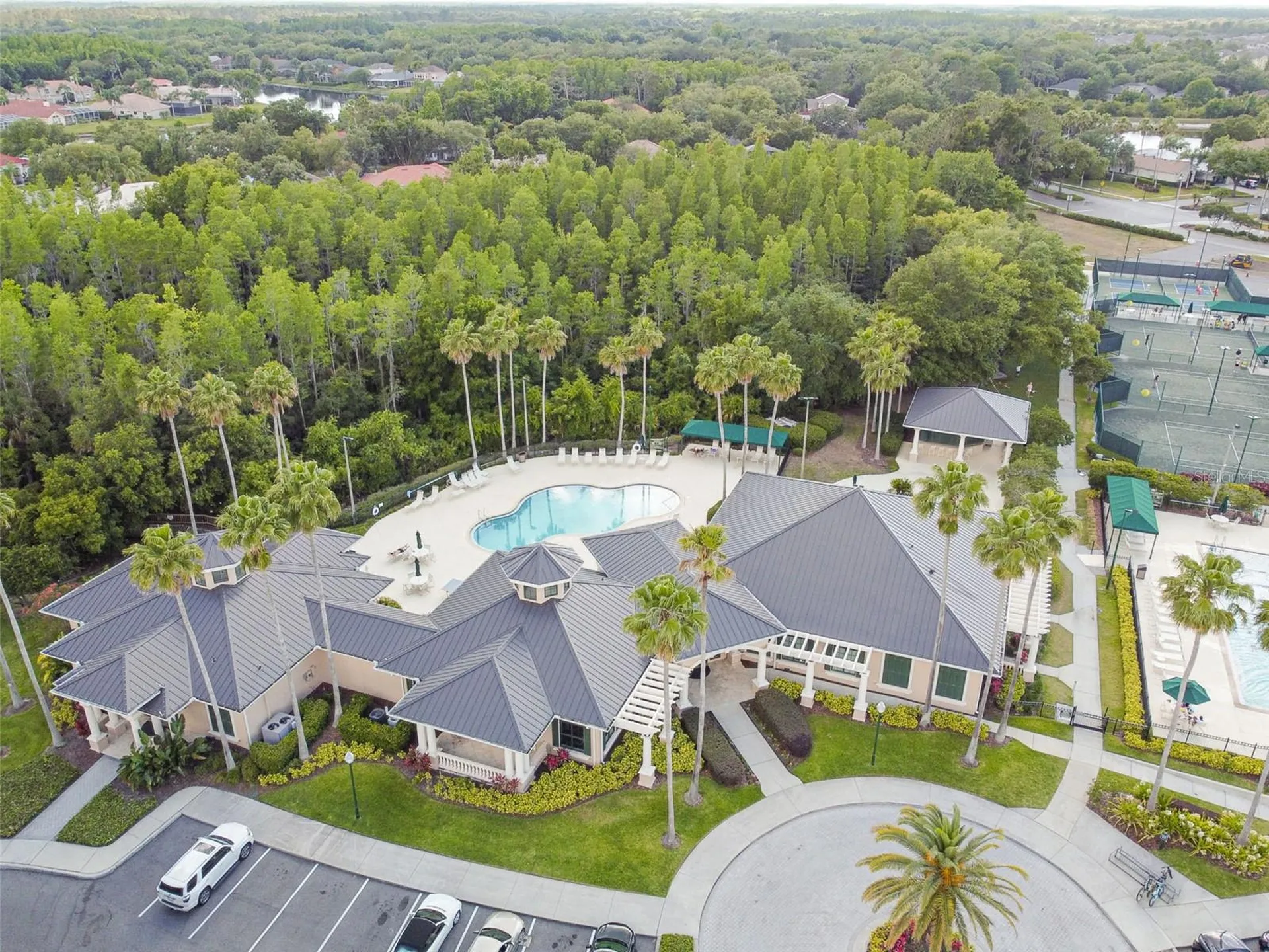 10243 Shadow Branch Drive Tampa FL 33647